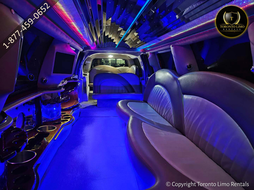 Ford Expedition Limo Image 10