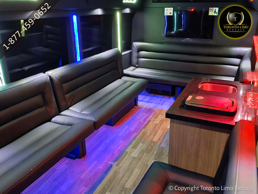 Affordable Limo Bus Image 13