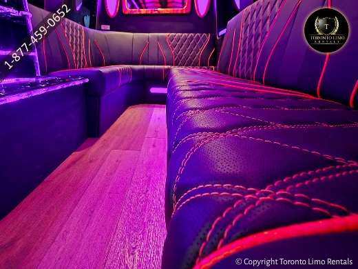 Fresh Arrival Sprinter Party Bus Image 21