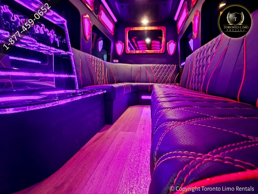 Fresh Arrival Sprinter Party Bus Image 9